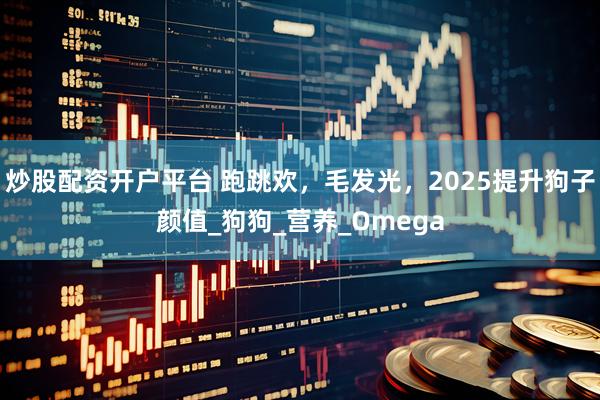炒股配资开户平台 跑跳欢，毛发光，2025提升狗子颜值_狗狗_营养_Omega